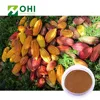 /product-detail/high-quality-cocoa-extract-raw-organic-cocoa-powder-black-cocoa-powder-60505439488.html