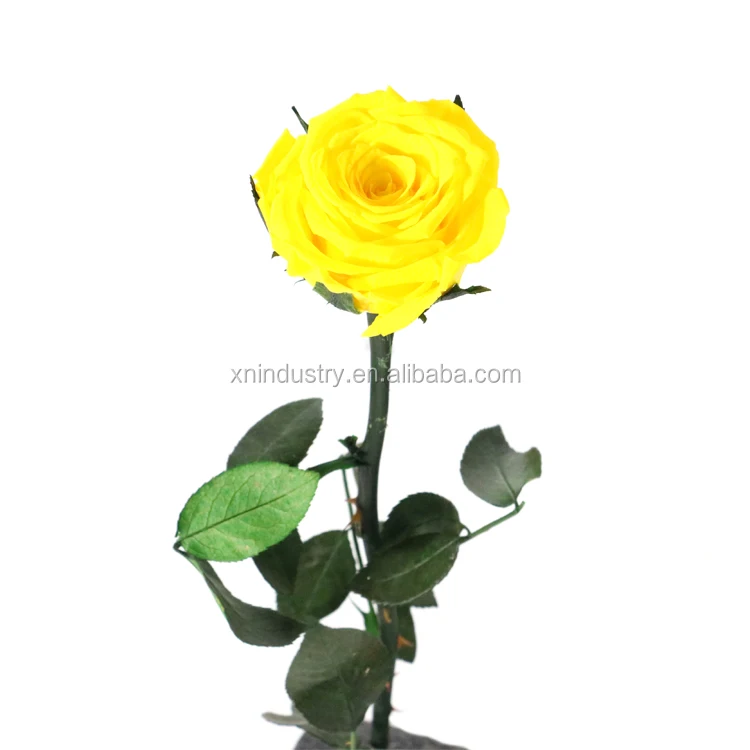 buy birthday gift