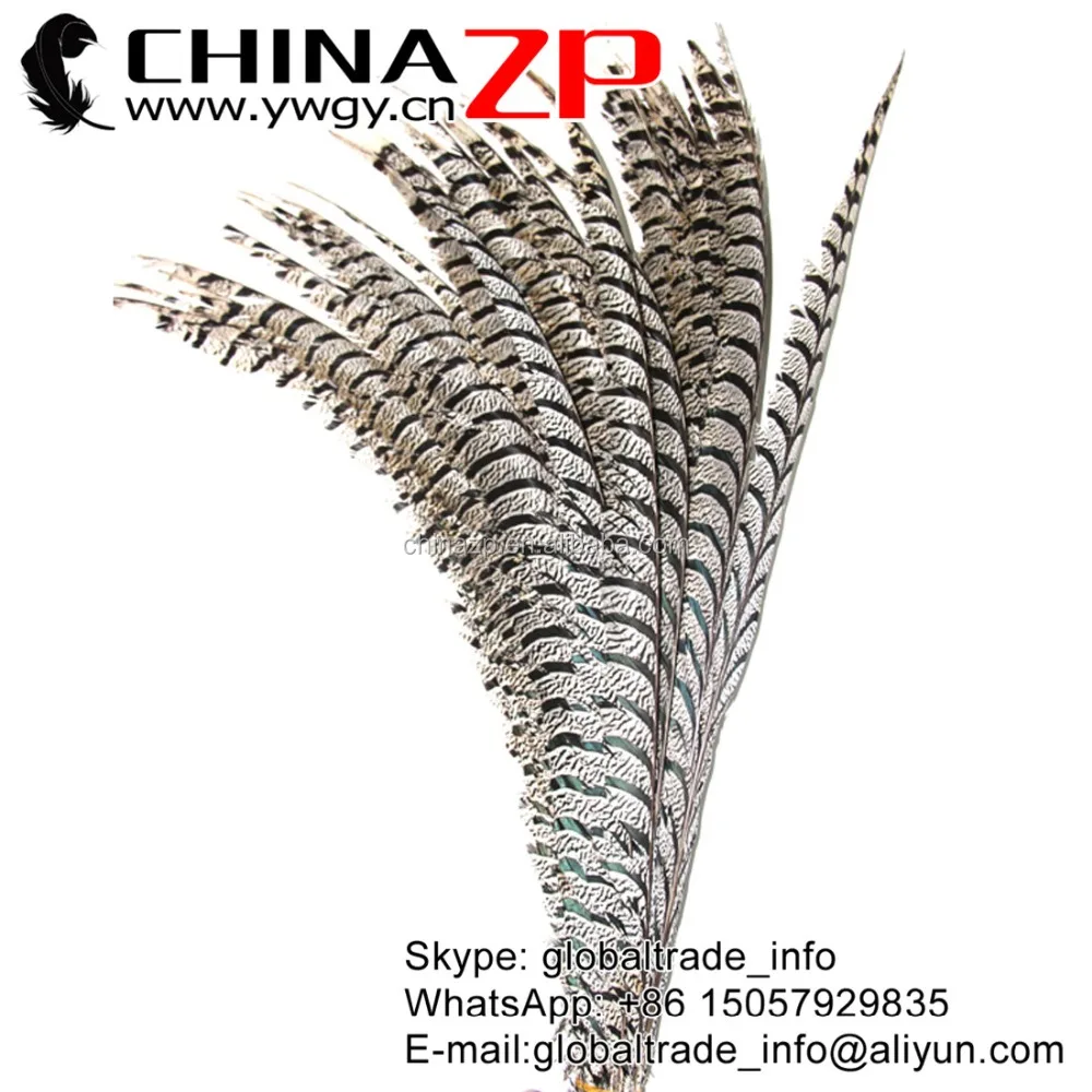 ZPDECOR Factory Wholesale 80-90cm Long Natural ZEBRA Lady Amherst Pheasant Tail Feathers