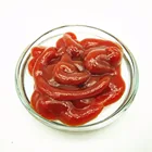 halal iran tomato paste tomato ketchup dubai spicy tasting tomato paste ketchup sauce
