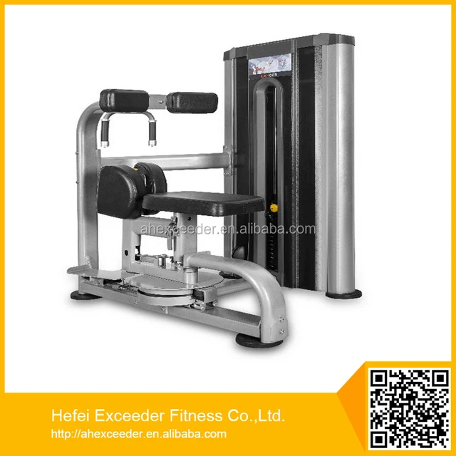 rotary torso commercial gym equipment/fitness gym equipment