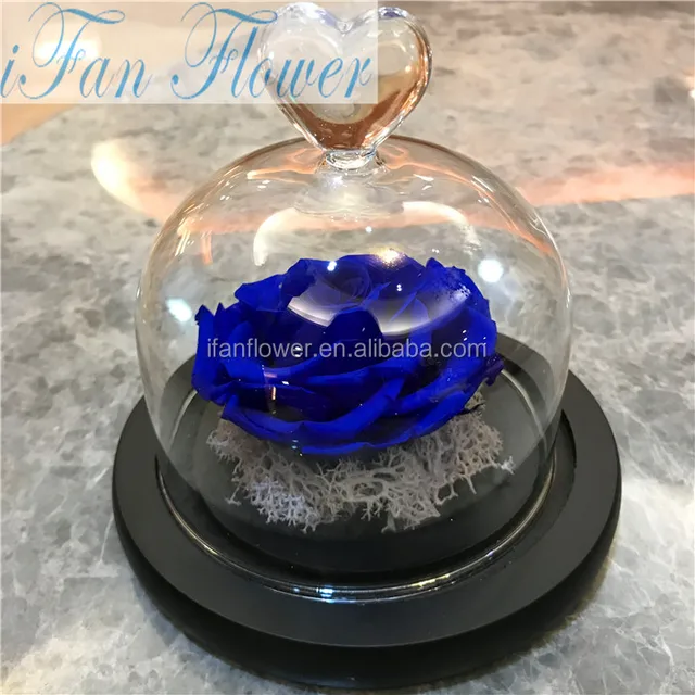 gift factory price natural preserved roses wholesale eternal