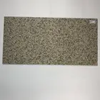 Exterior ceramic wall tile