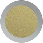 2019 Crop Dehydrated Garlic Granules 8-16 16-26 26-40 40-60 Mesh