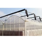 Multi-span Poly Tunnel Plastic Film Greenhouse For Vegetables /tomatos