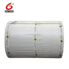 Quality Paper High Quality Single/double Side PE Coated Paper For Adhesive Products