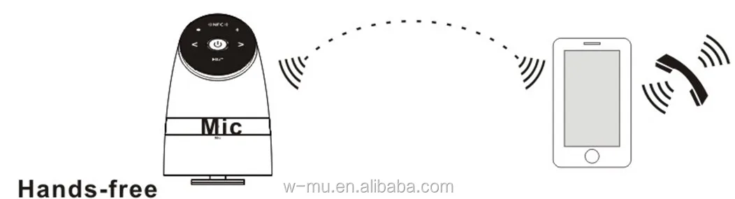 MIC.jpg