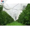 /product-detail/2019-new-custom-agricultural-plant-protection-mesh-anti-hail-net-for-orchard-60755246725.html