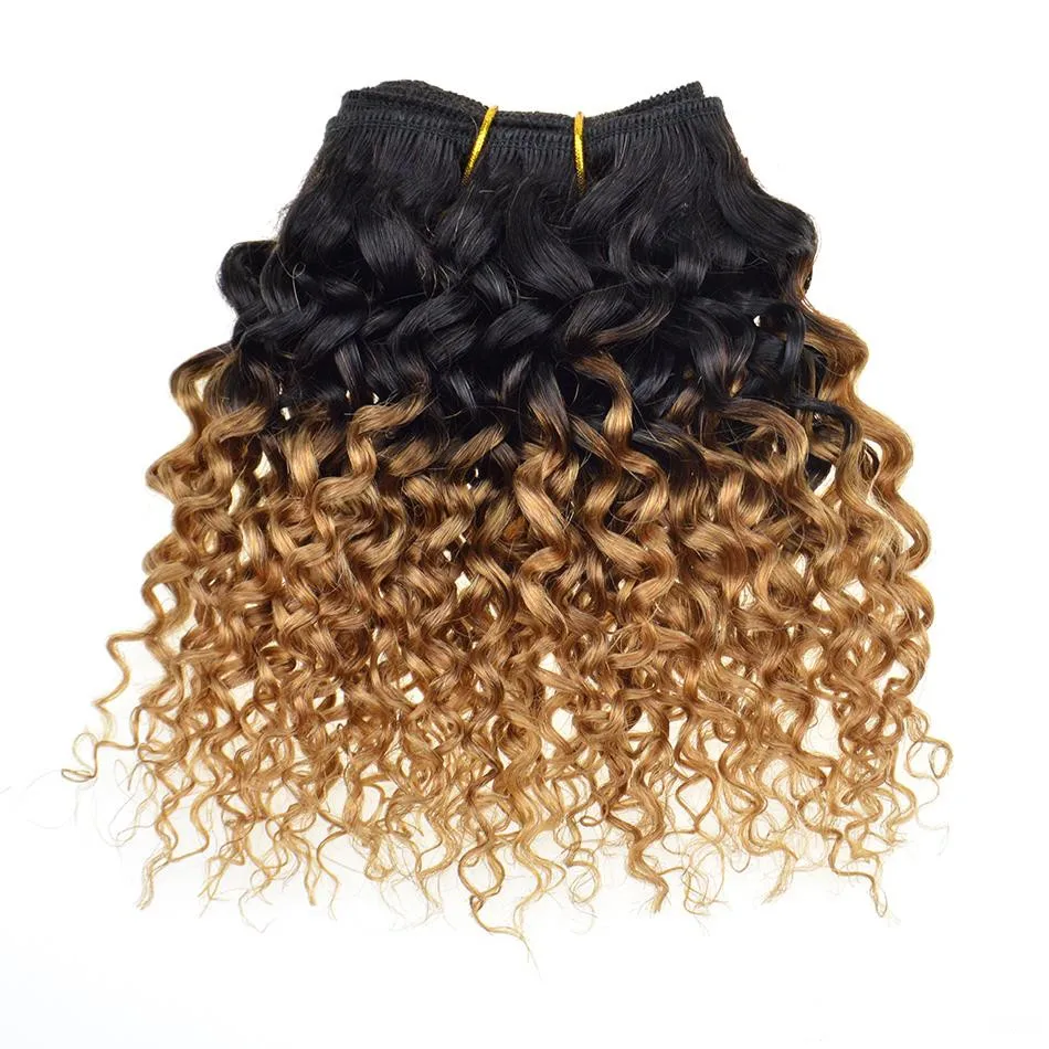 

Factory wholesale 100% real remy ombre hair extensions afro kinky curly hair two tone #1b/27 virgin hair bundles