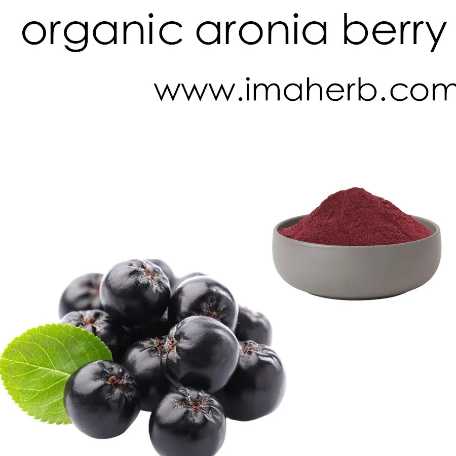 gmp factory supply herb organic aronia berry