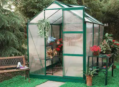 6x8ft garden greenhouse offered by professional factory