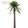 /product-detail/2019-hight-quality-fiber-glass-artificial-palm-tree-special-large-outdoor-artificial-trees-decorative-artificial-date-palm-tree-62122678040.html