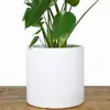 /product-detail/white-clay-pots-terracotta-indoor-plant-pot-ceramic-indoor-planter-modern-terracotta-flower-pot-perfect-for-plant-stands-a-62014229478.html