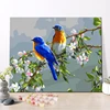 CHENISTORY DZ1673 Painting By Numbers Picture Digital Birds On Canvas With Frame For Kits