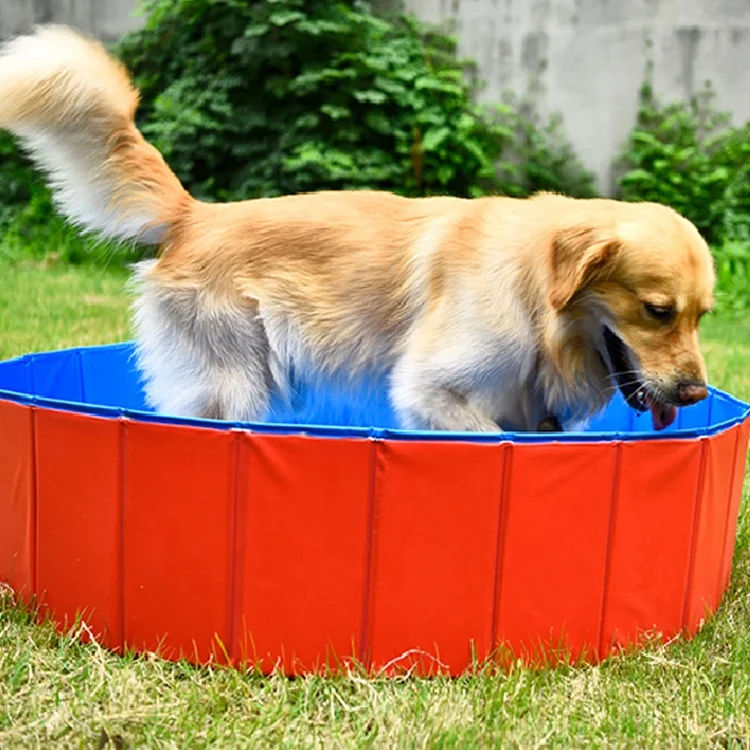 portable dog bath