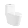 Sanitary Wares Series Siphonic One Piece Chinese Toilet Bowl