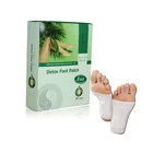 OEM custom 2 in 1 herbal kinoki detox foot pads private label