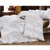 Wholesale hot sale so soft Import Goose Down Duvet Thick Travel Throw Quilt