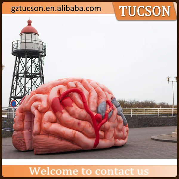 brain shaped inflatable