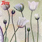 JUTU Non Woven Wall Paper Digital printing Home Decoration Wallpaper