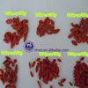 /product-detail/2017-sweet-and-health-dried-goji-berry-60407278672.html