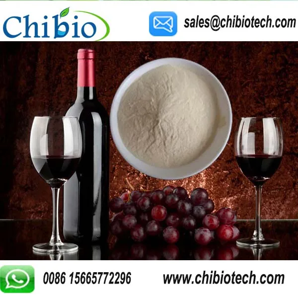 GMP Factory Supply Aspergillus Niger Chitosan
