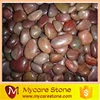 Art craft landscaping red river pebble stone for garden decoration