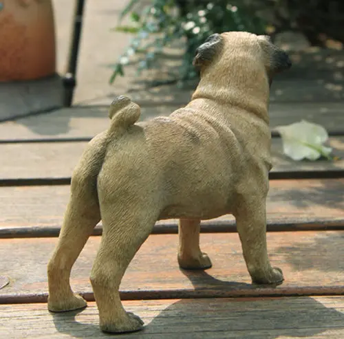 pug dog figure 4