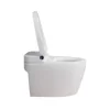 /product-detail/ceramic-washlet-toilets-hyundai-bidet-toilet-seat-bidet-toilet-62142053201.html