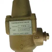 Maximize Energy Savings Thermostat Valve With