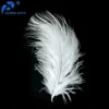 Alibaba NO.1 Feather Trading Wholesale HP-79 Free Sample Handmade Solid Color 5-7 Inch Customized Dyed Marabou Feathers