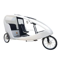 Recyclable PE Street Mobile Passenger Transport