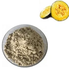 Tobrand Supply Organic Pumpkin Protein Powder