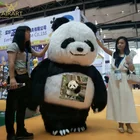 Cartoon mascot costume inflatable panda costume
