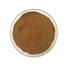 100% pure plant Dong Quai Extract 1% ligustilide Powder