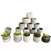 Hot sale creative indoor cement flowerpot/decorative mini flower pots with indoor artificial plant