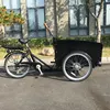 /product-detail/front-wood-box-adult-electric-cargo-tricycle-with-3-wheels-bicycle-trike-trailer-ub-9034e-60789741709.html