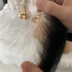 Wholesale Brazilian Body Wave Hd Swiss Lace Closure With Full Cuticle Aligned Hair 4x4 5x5 6x6 7x7 in stock