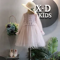 High Quality Girls Dresses 2019 New Autumn Girl Clothes Long Sleeve Dress Fashion High-grade Children Kids Lace Princess Dress
High Quality Girls Dresses 2019 New Autumn Girl Clothes Long Sleeve Dress Fashion High-grade Children Kids Lace Princess Dress