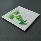 Earth friendly biodegradable sugarcane bagasse tableware 10 inch disposable paper pulp buffet plates