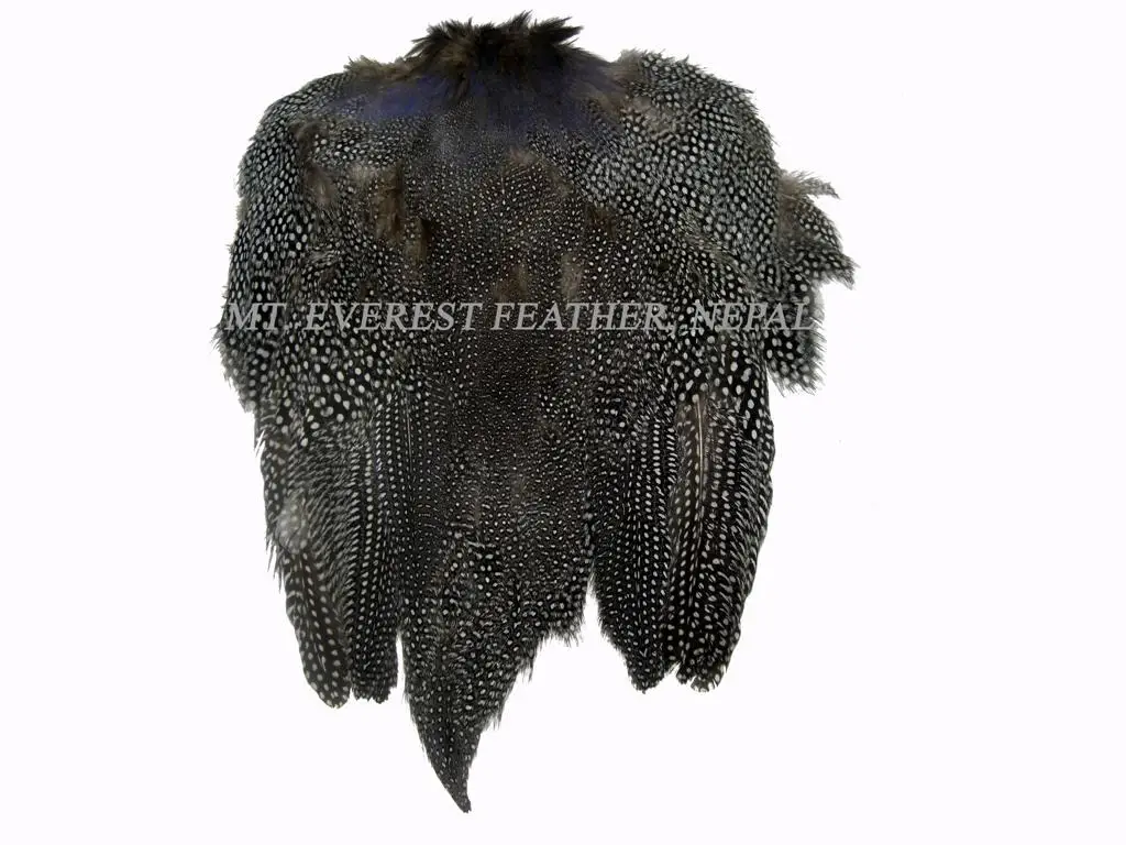Guinea Fowl Feather With Skin Body Feathers