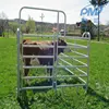 galvanized pipe horse fence panels/metal livestock farm fence panel/ steel tube corral fencing panels