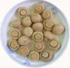 /product-detail/canned-fresh-whole-champignon-mushroom-60817722814.html