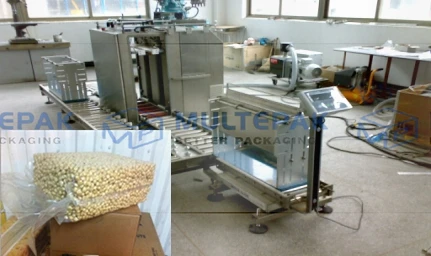 Price for high performance dates vacuum packaging / packing machine