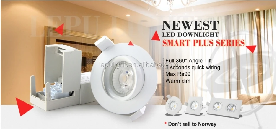 smart downlight.jpg