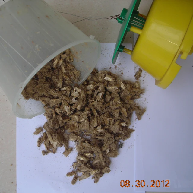 Trap result.jpg
