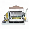 Full Automatic Plastic Egg Tray Carton Making Machine