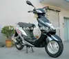 /product-detail/elegent-eec-49cc-scooter-614914760.html