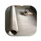 BOLIN Stainless Steel 304 316 316L 904L Dutch weave mesh used for leaf filter