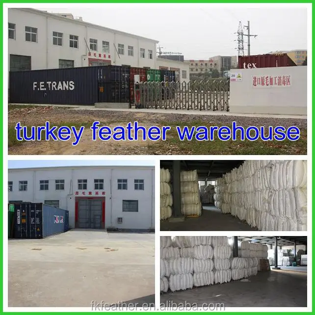 2 turkey feather warehouse_